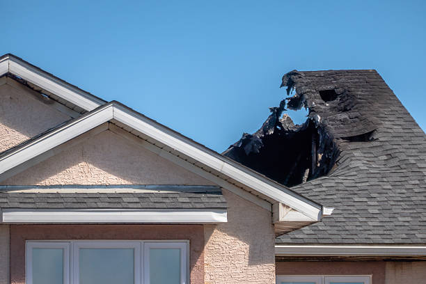 Top rated local Odor Removal specialists in East Greenville, PA